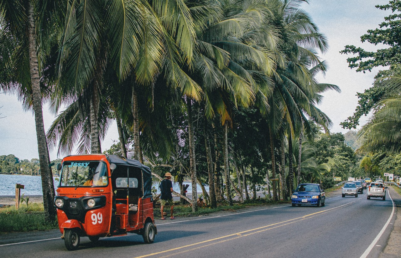 Cars drive on a road surrounded by tropical trees along the coast of a beach in Puerto Viejo.