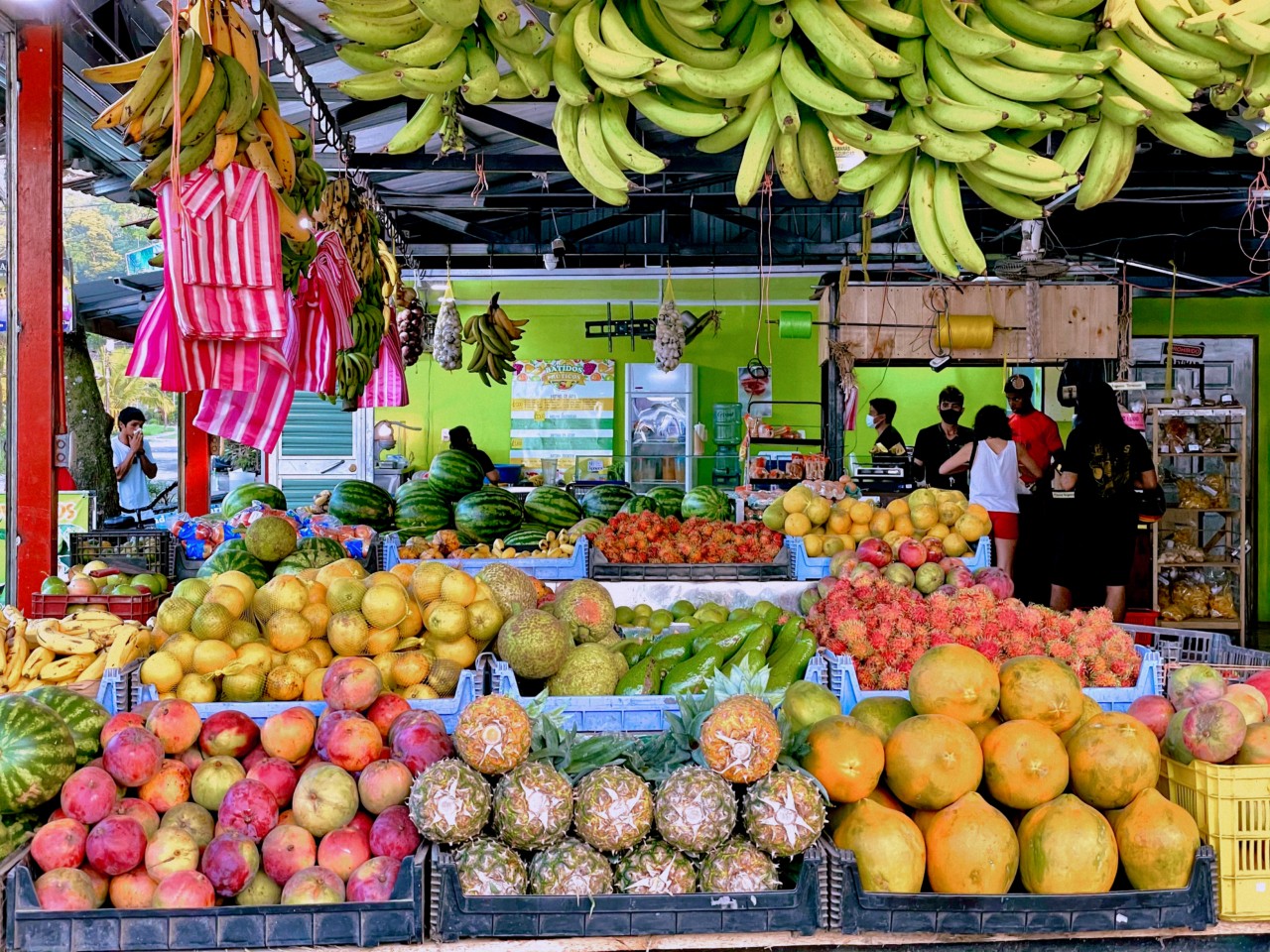 Several types of colorful fruit are on display at a market in Puerto Viejo.