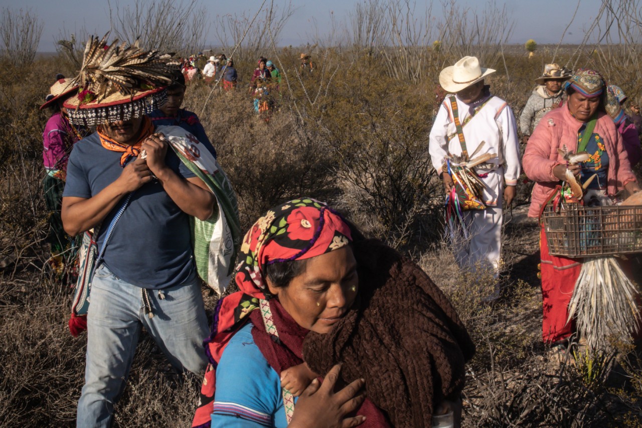 In the desert of San Luis Potosí, the Wixárika search for peyote.