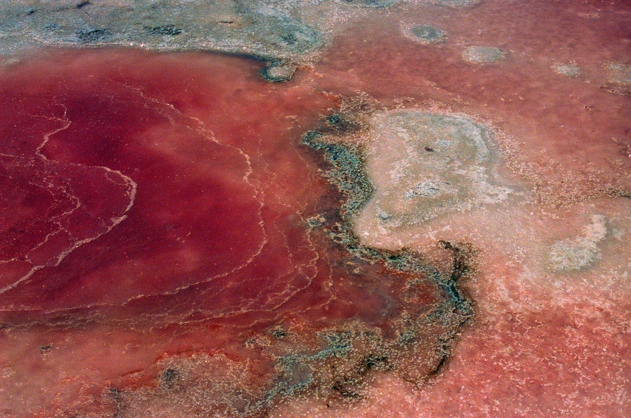 Light and dark pink colors swirl together on a flat, hardened piece of rock.