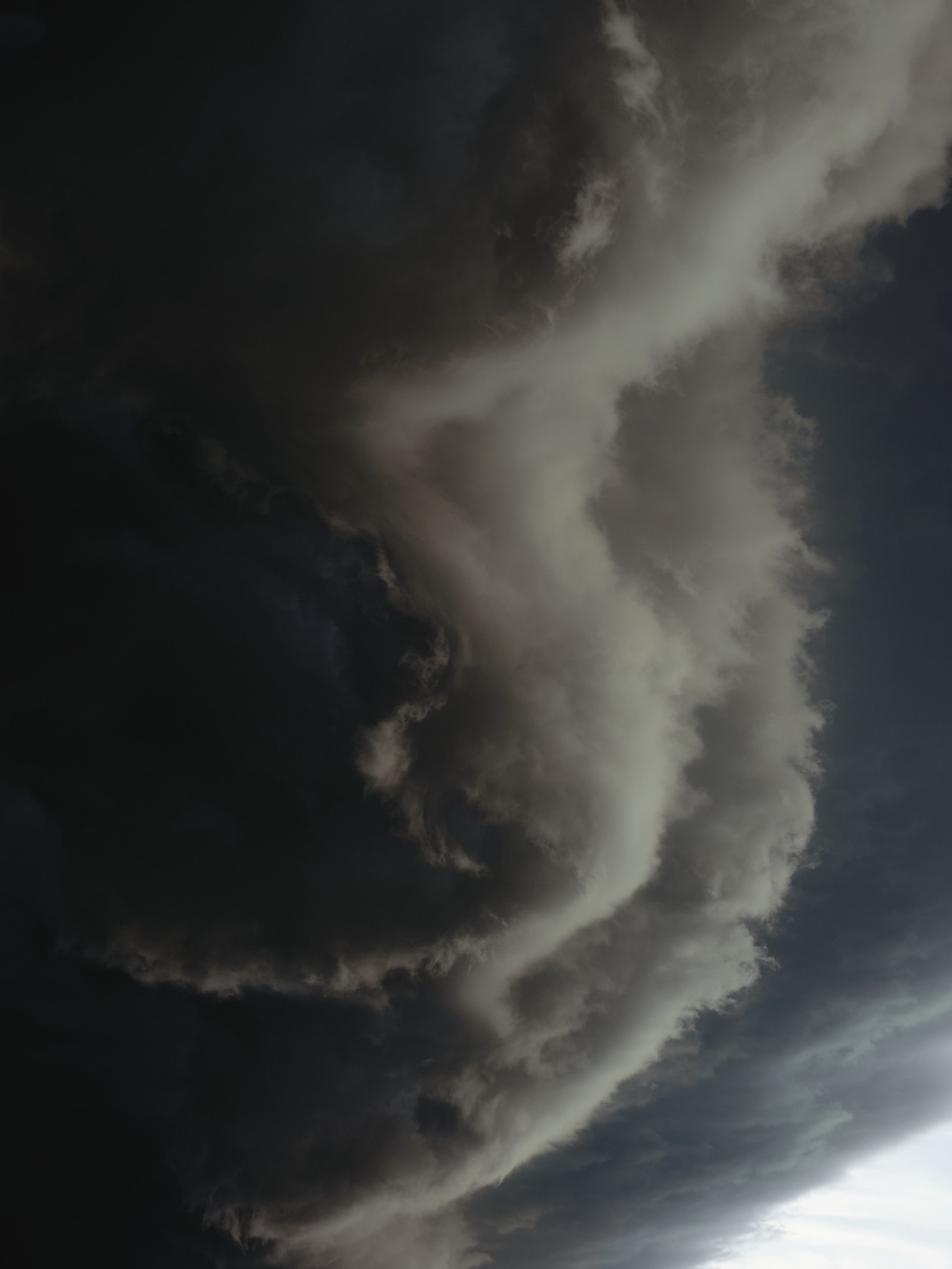 The edge of a supercell in Dalhart, TX