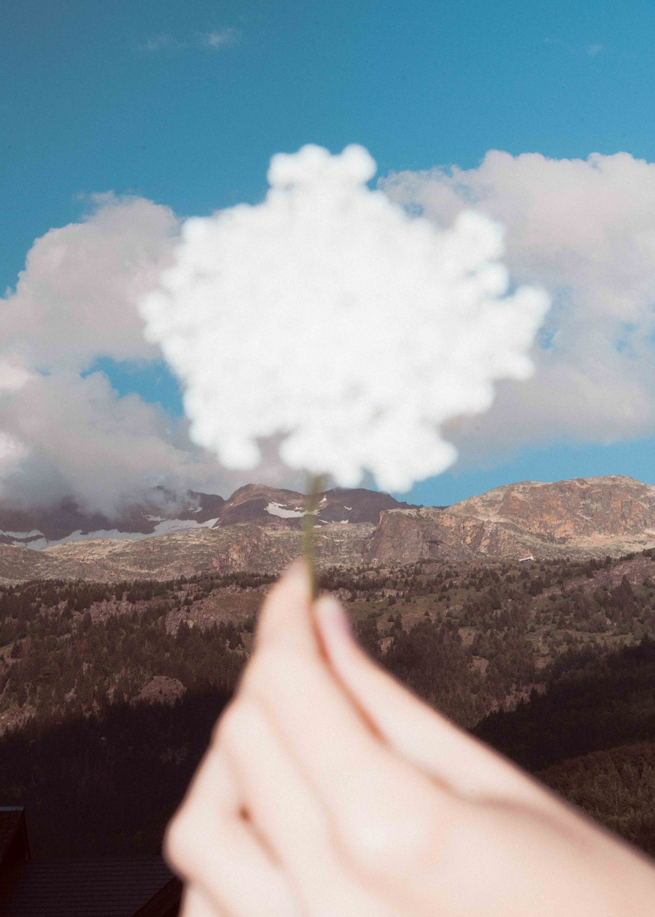 A person's pointer and thumb fingers grasp a stem with a cloud like structure on the end. In the background is the landscape of plains and mountains in Europe.