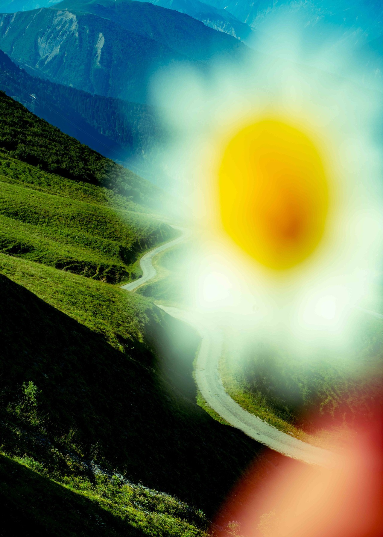 A white and yellow flower is out of focus. In the background is green and blue mountains.