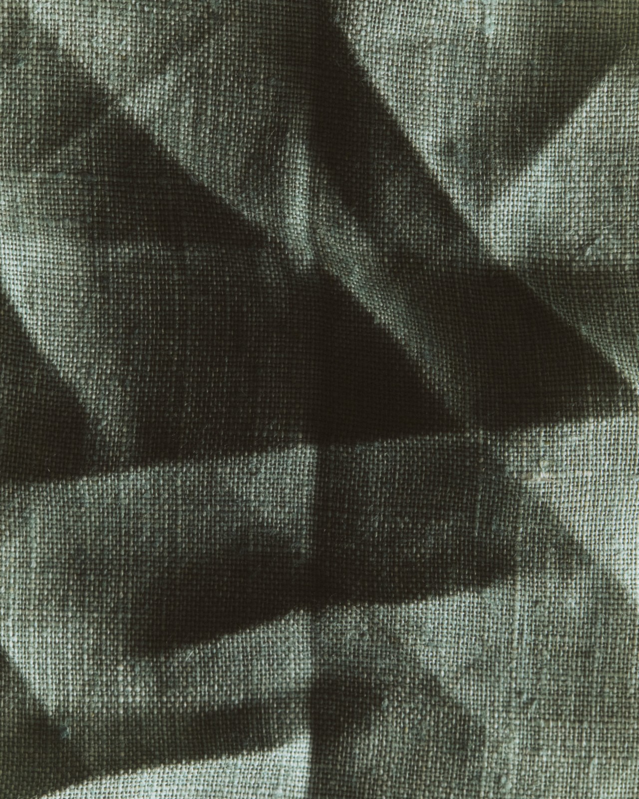 A green, wrinkled biomaterial lays flat on a surface.