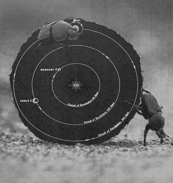 Two dung beetles roll not he dirt along with a circular cut out of solar system drawing.