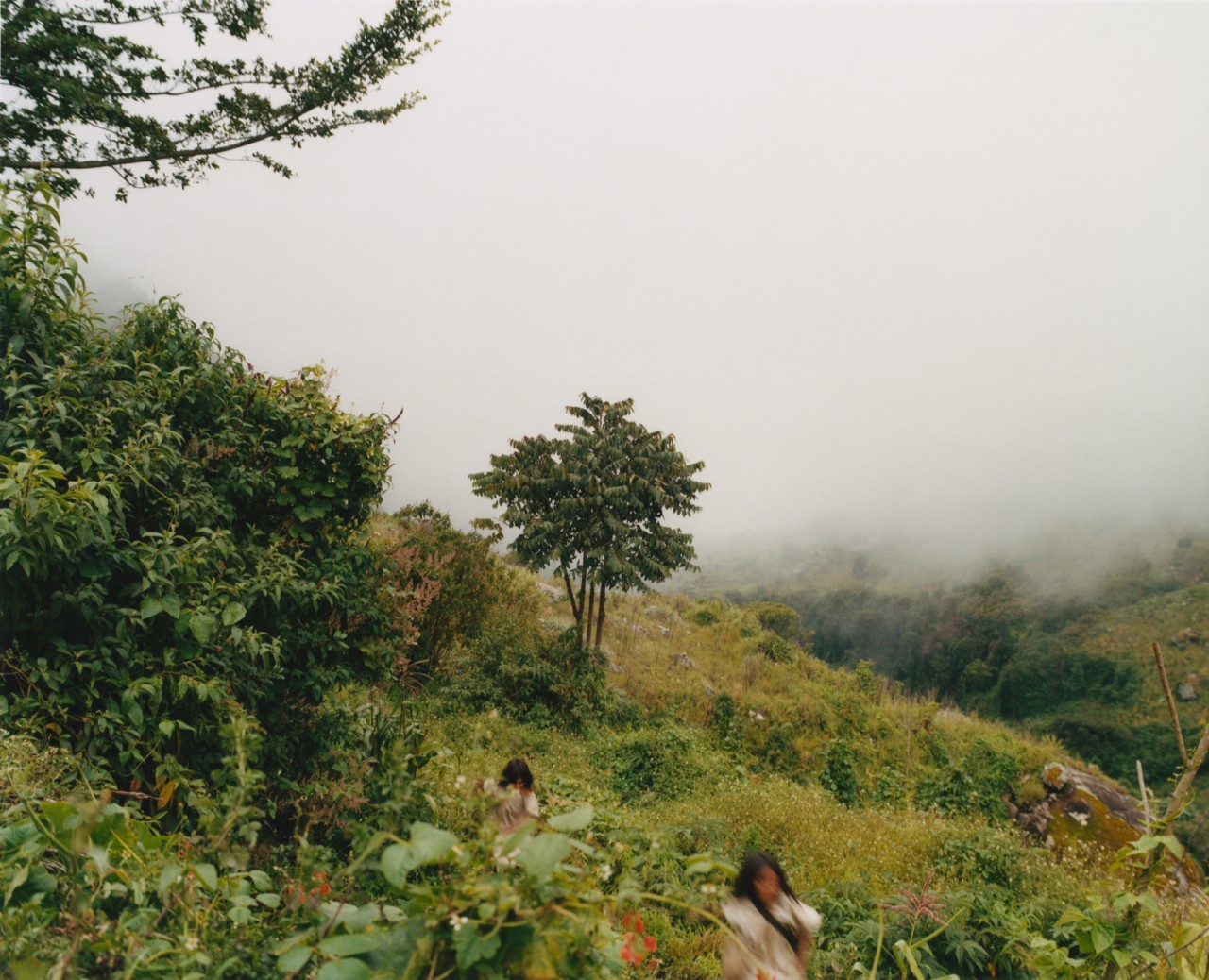Kogi people on the the side of a mountain in Colombia with the mist in the moutainous background.
