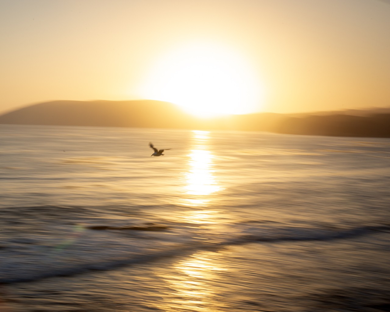 A bird flies over the ocean during sunset.