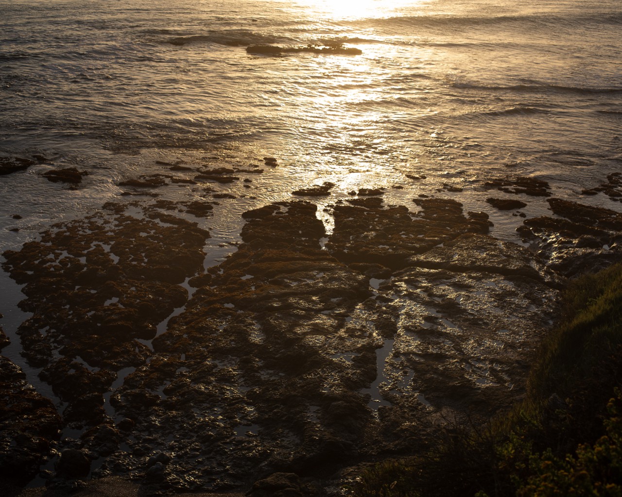The ocean water meets the rocky shore at sunset.