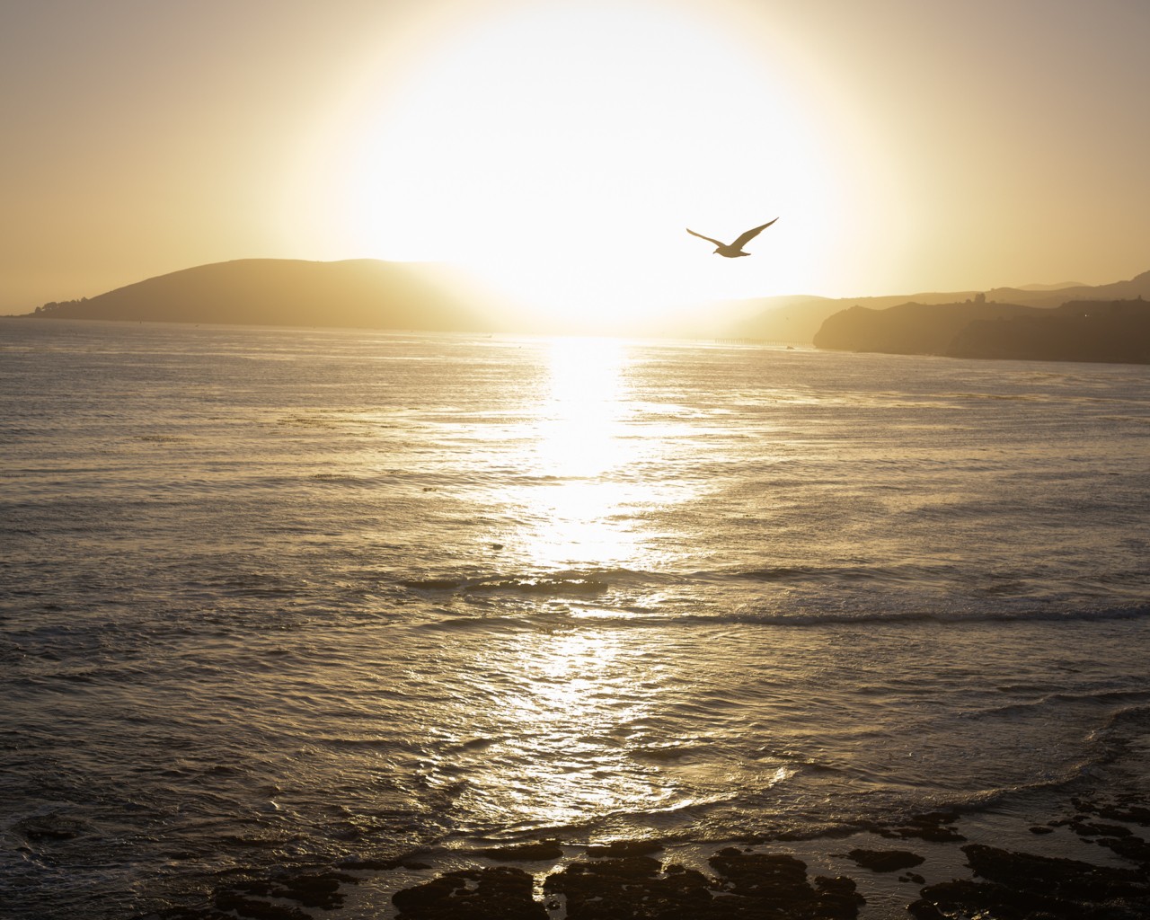 A bird flies over the ocean as the sun sets behind the mountains.