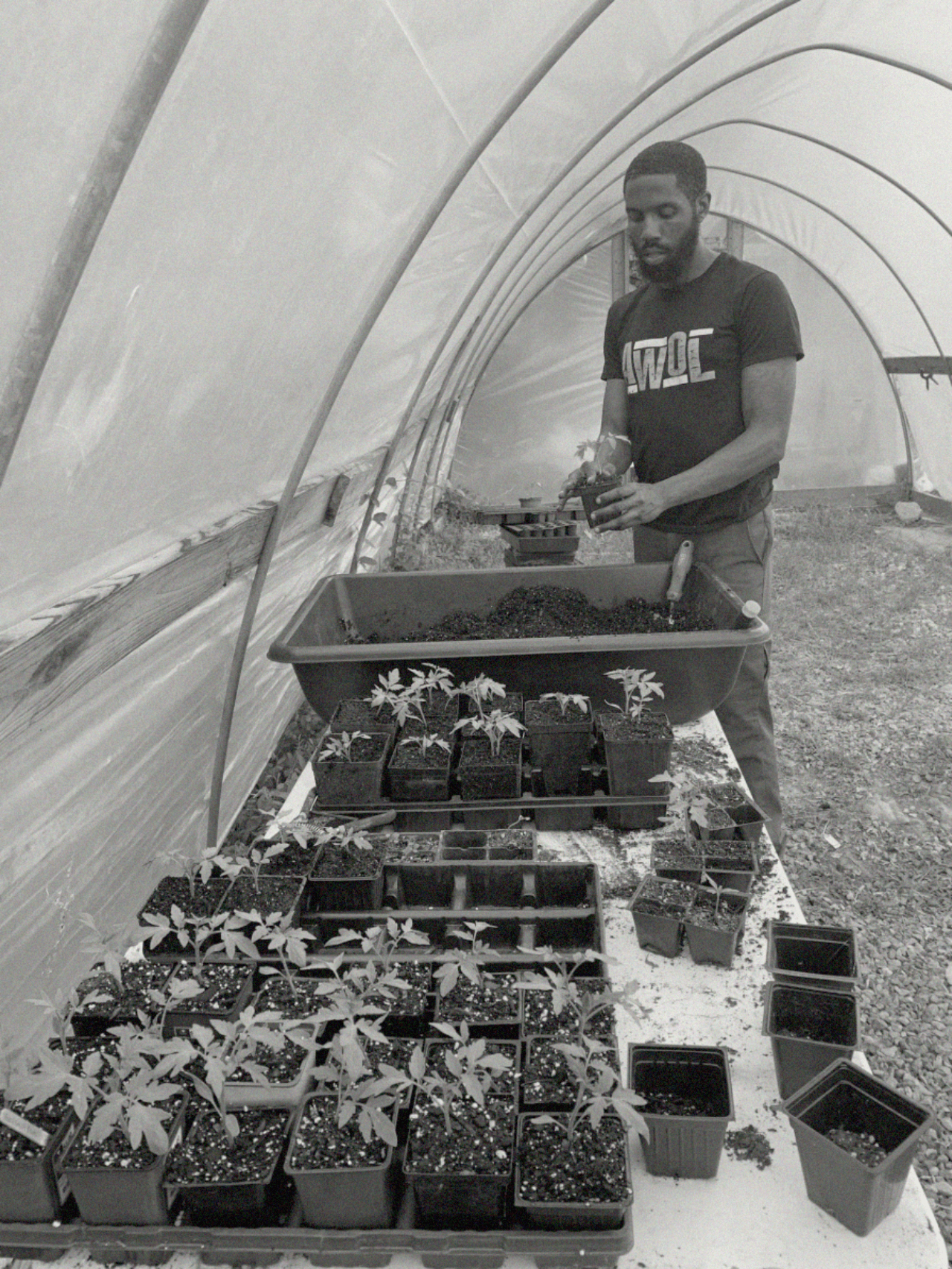 An HBCU student does agricultural work in a greenhouse near campus