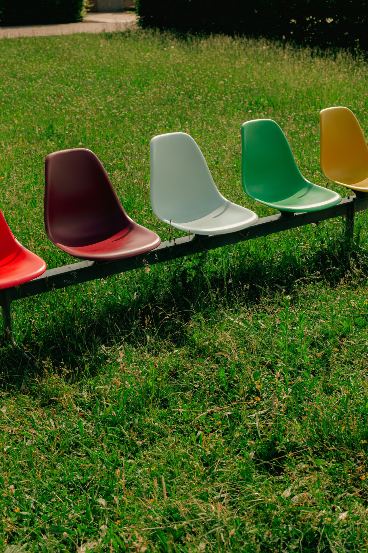 A row of academic chairs sit on large bed of grass.
