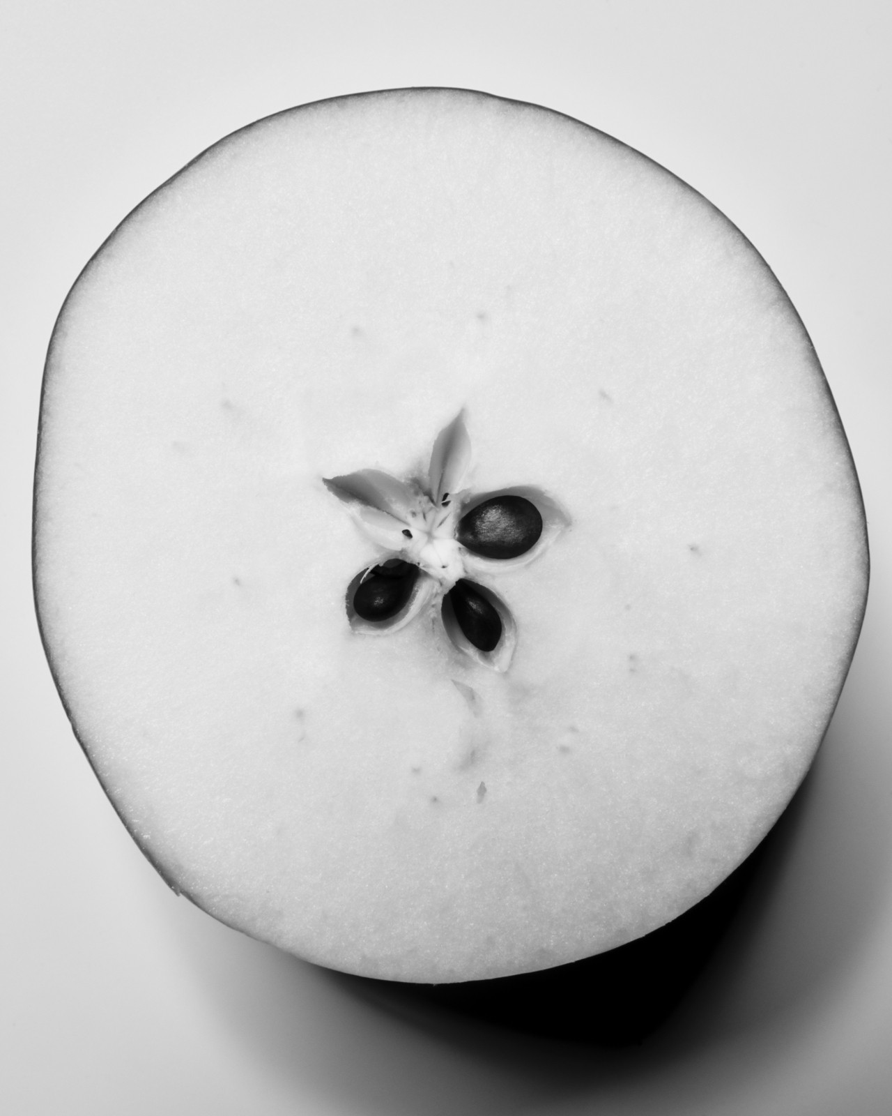 Appleseeds in the cross-section of an apple photographed in black and white