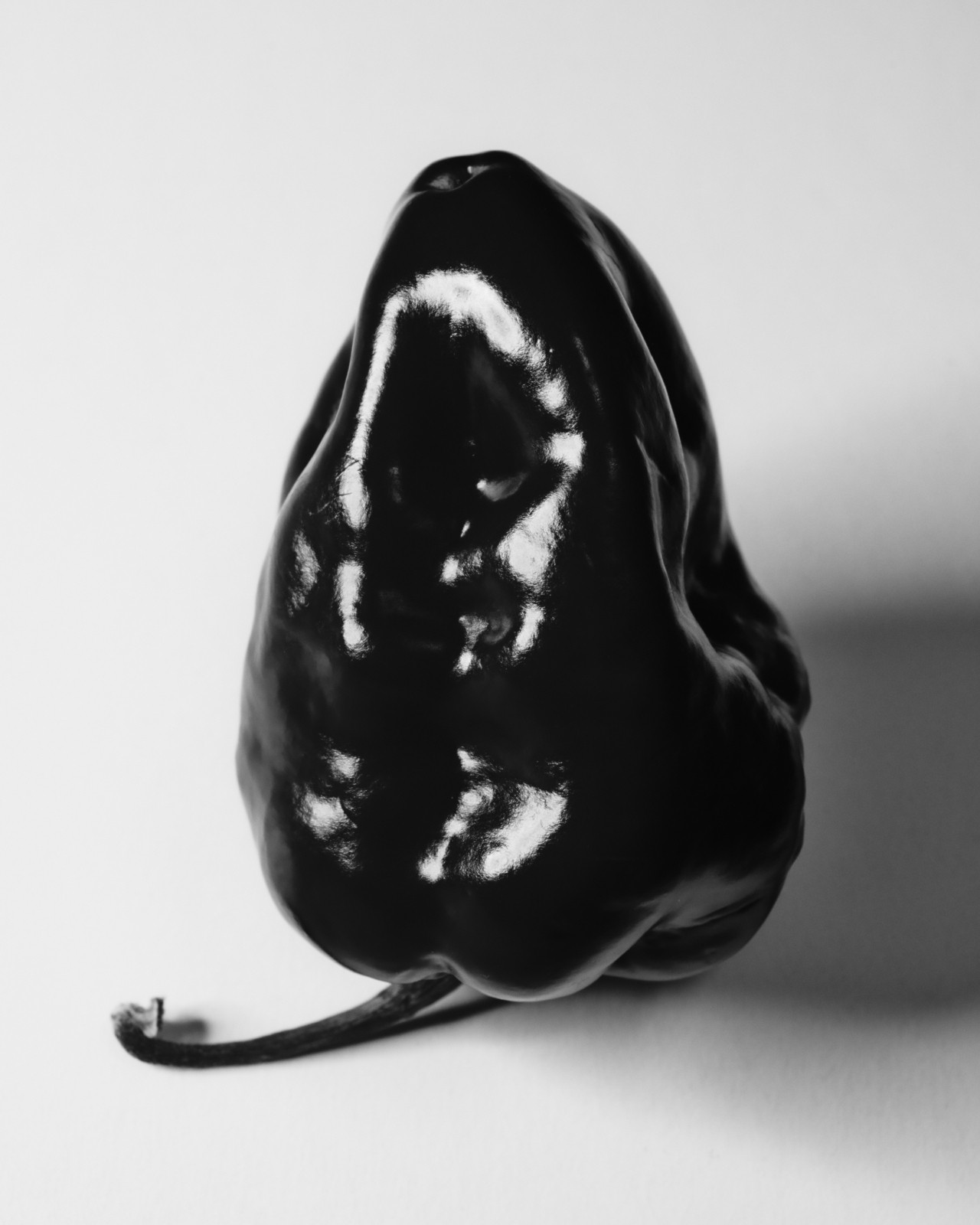 Red ghost pepper photographed in black and white