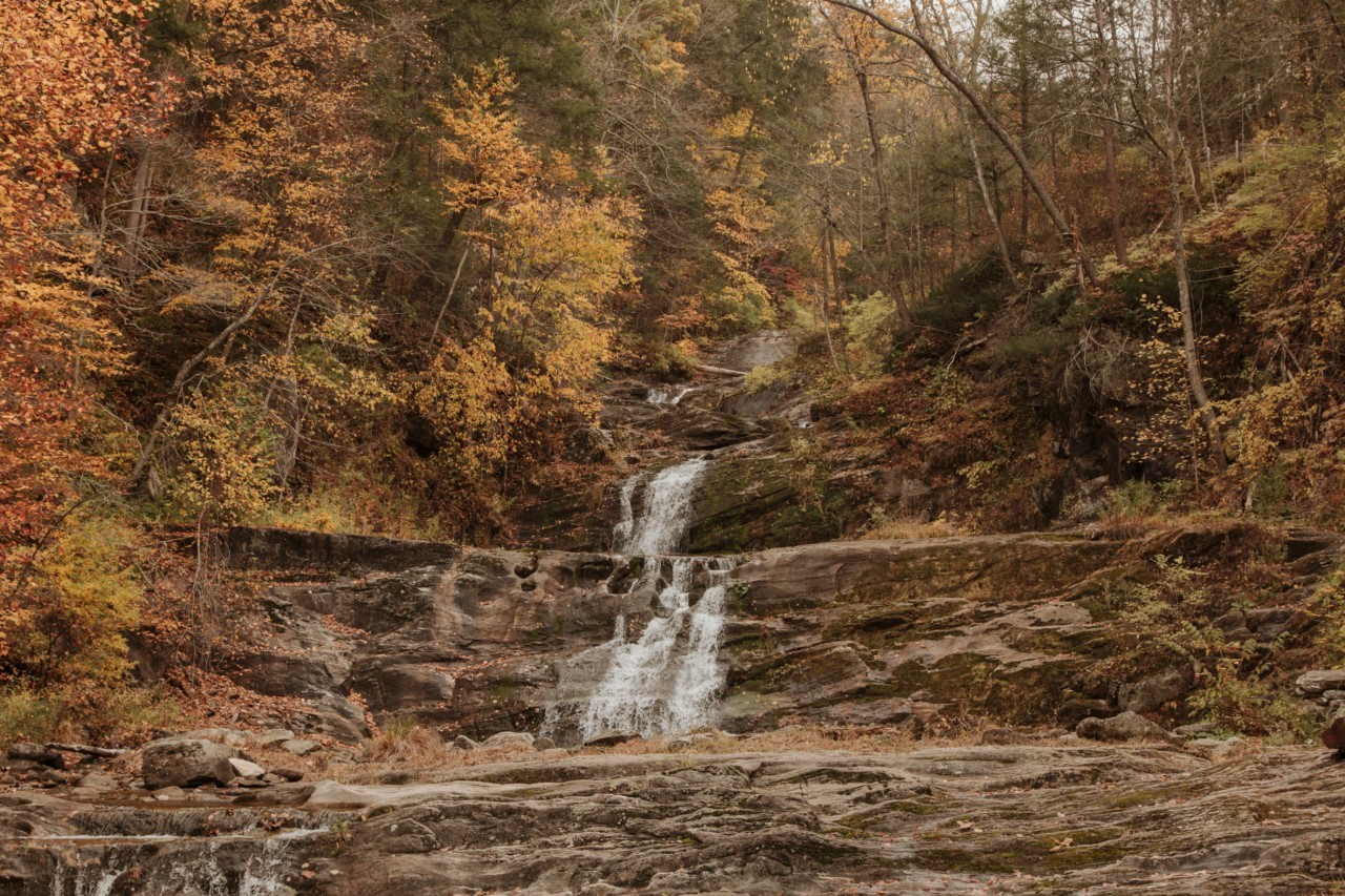 Early fall leaves next to a waterfall