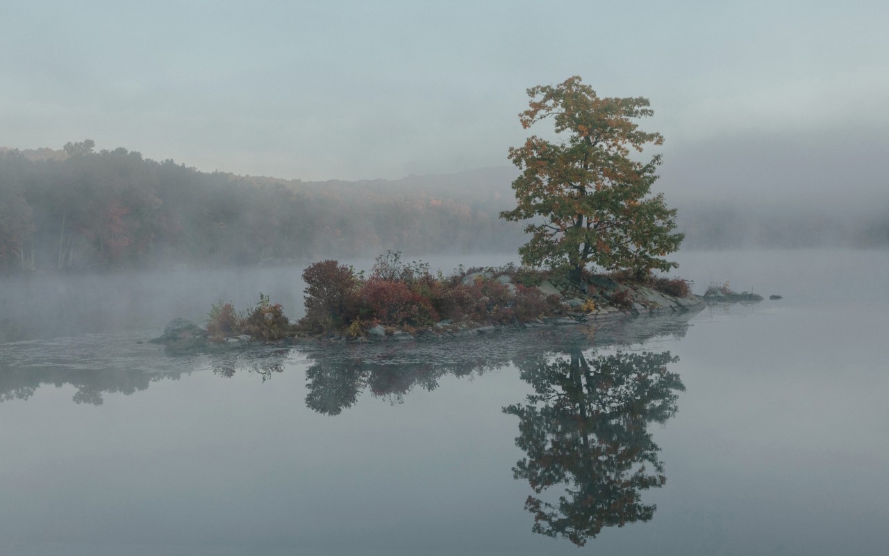 Early fall with mist over the lake
