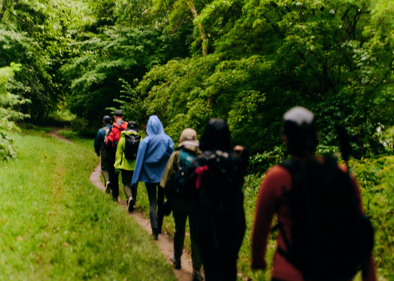 A group of hikers walk in a line towards the forest.