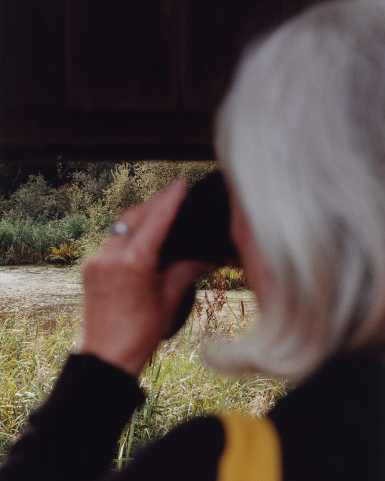 The back of someone with short, silver hair is shown looking out the window through binoculars.