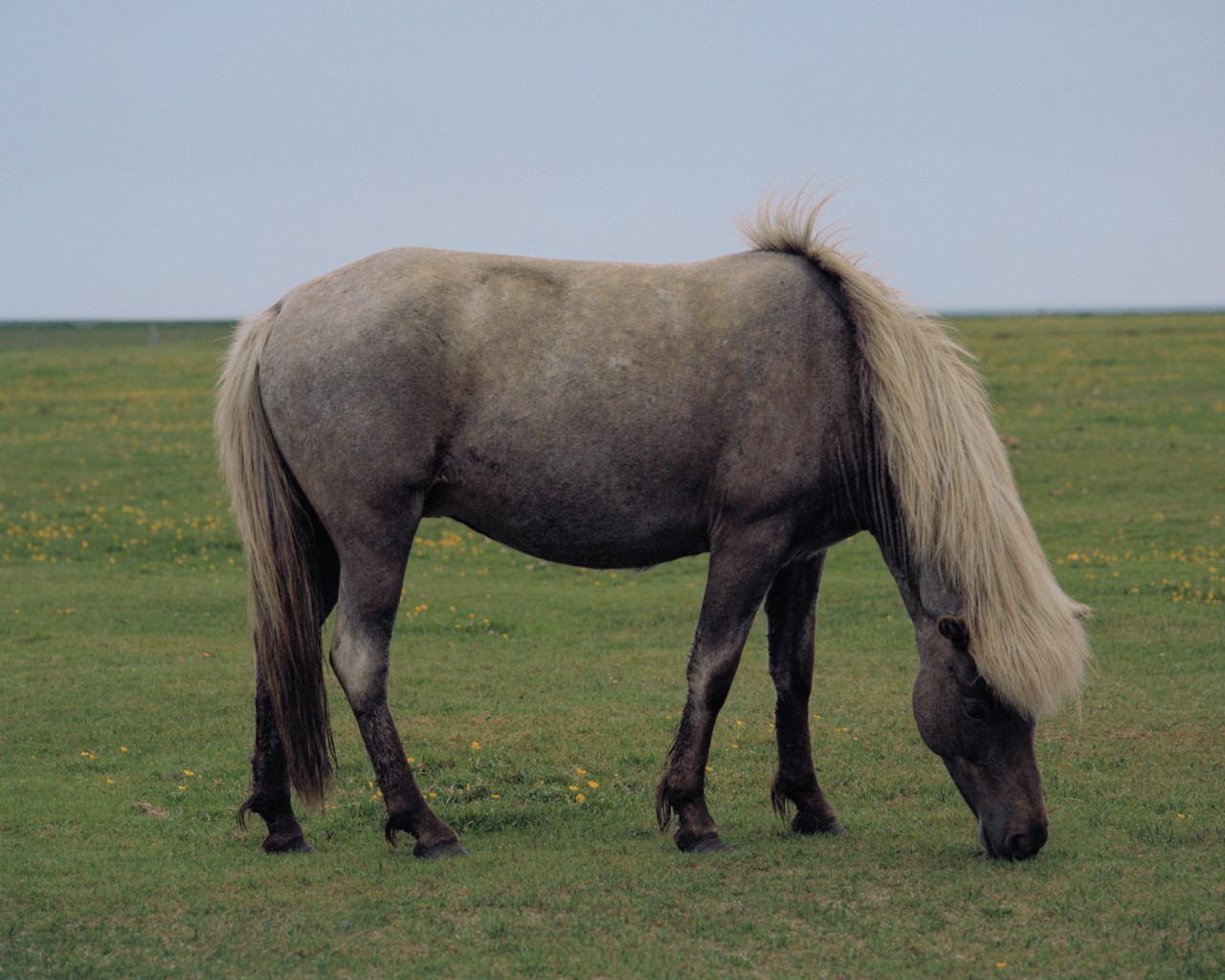 Studio Mare