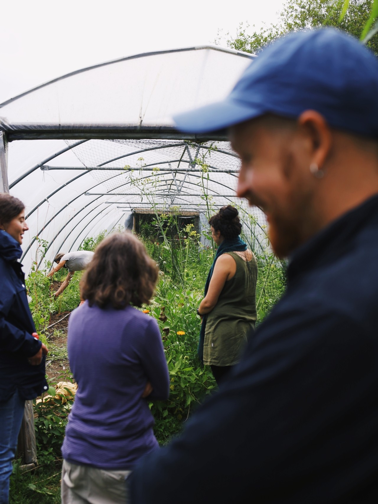 Several people stand inside a greenhouse garden.