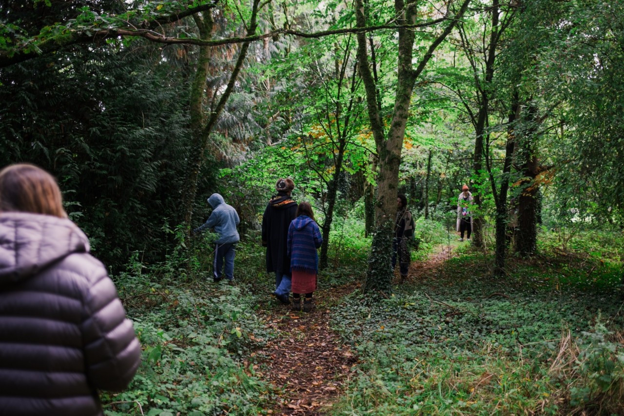 Several people walk down a clear path in the forest.