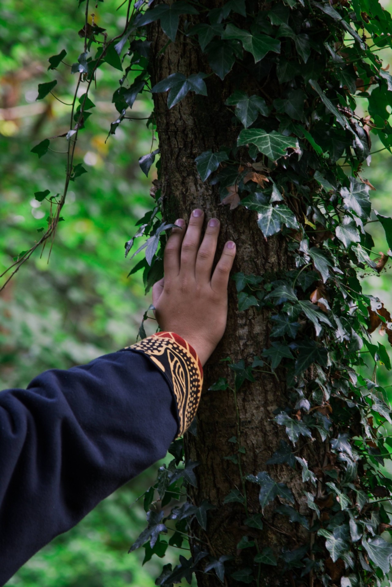 A person's hand touched the side of a tree trunk overgrown with leaves.