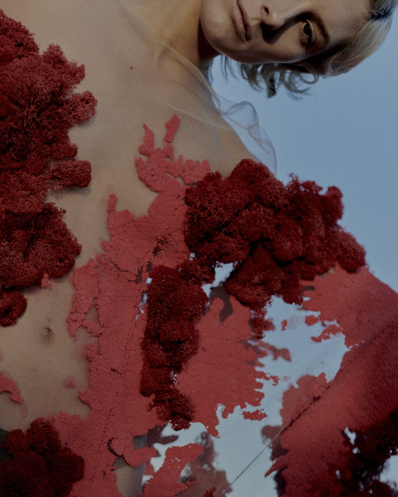 A model wearing a garment made from red biocouture peers into the camera.