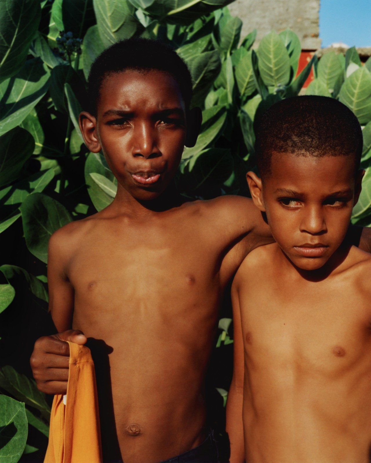 Two young children stand next to each other in front of a background of plants.