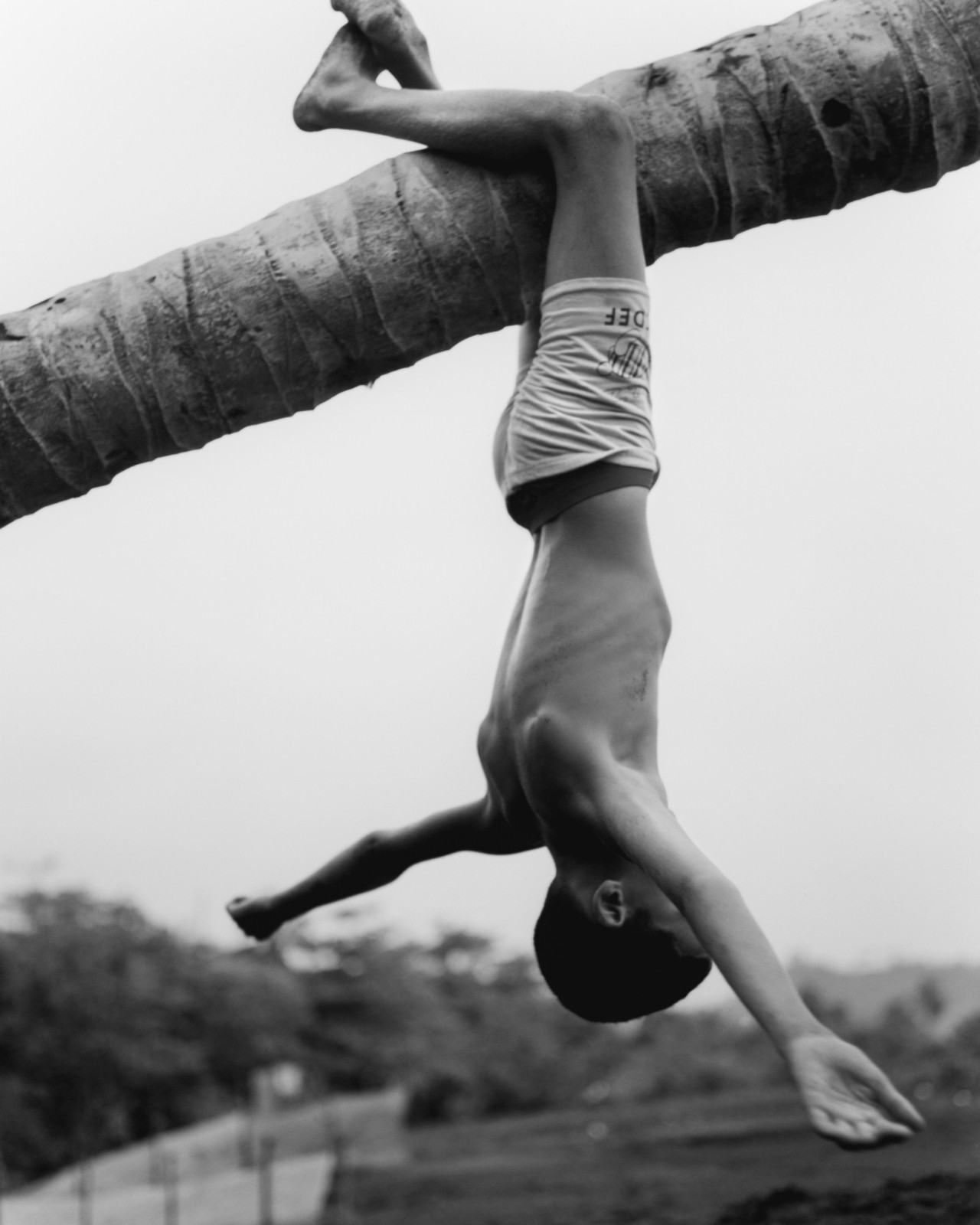 A young child hangs upside down from a tree trunk by their legs.
