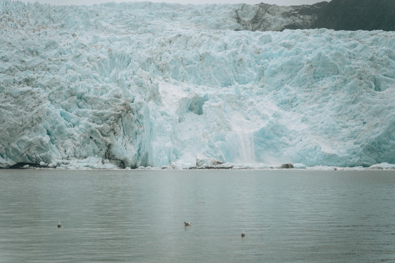An icy glacier sits on top of the water.