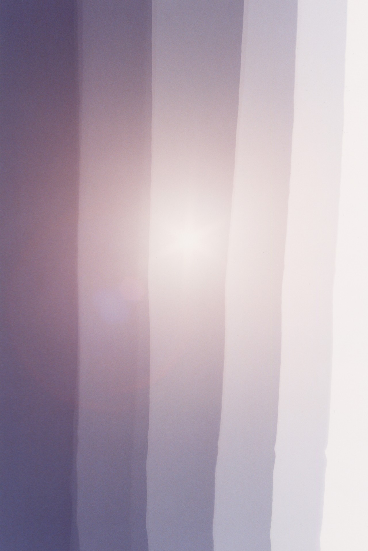 Several shades of purple, ranging from dark to light