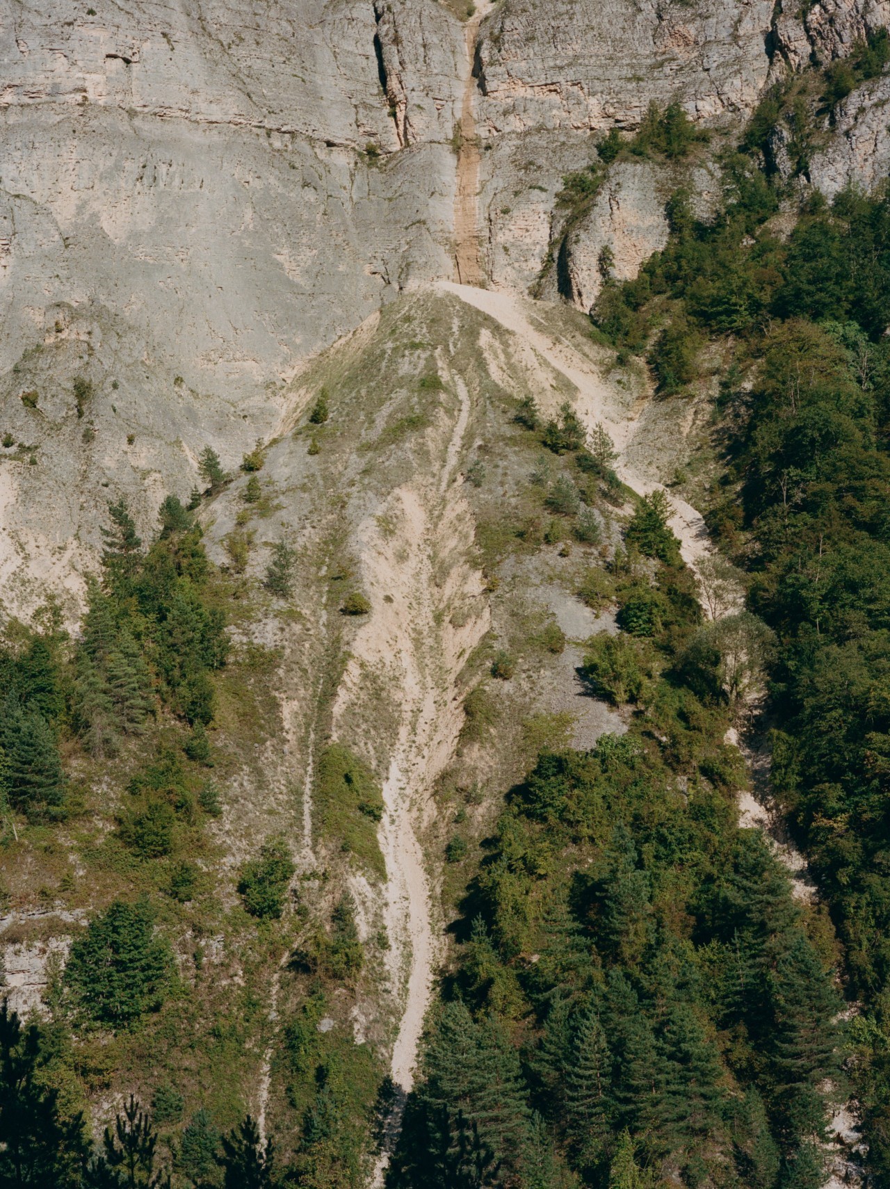Green shrubbery grows on the side of a mountainous cliff.