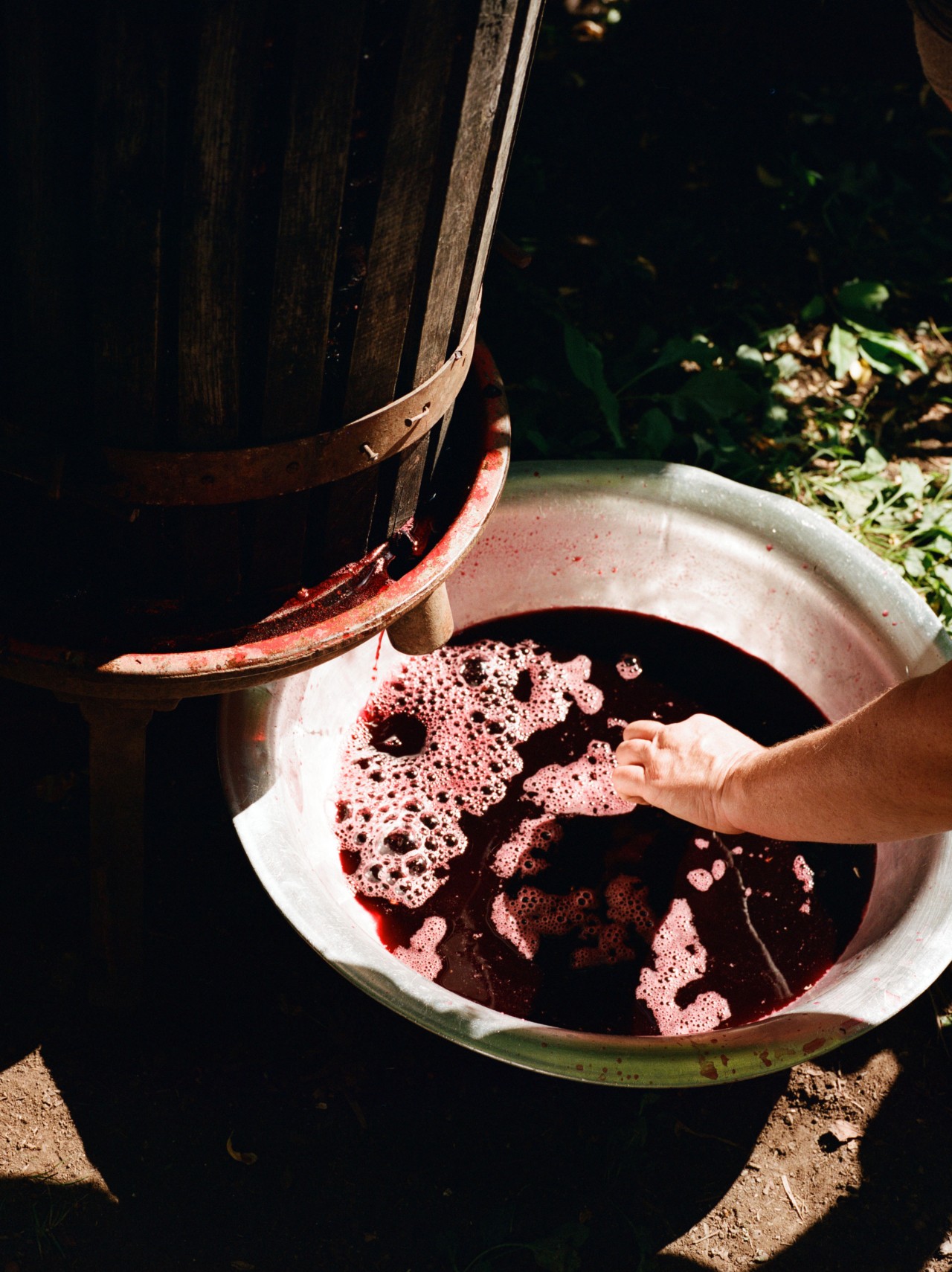 A dark red liquid sits in a large bucket.