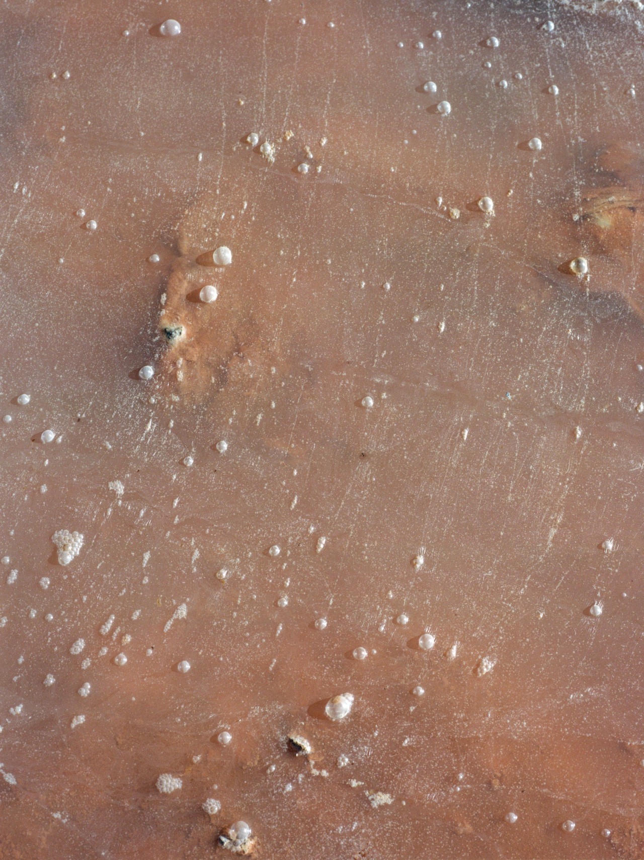 Small water bubbles form on damp brown sand.