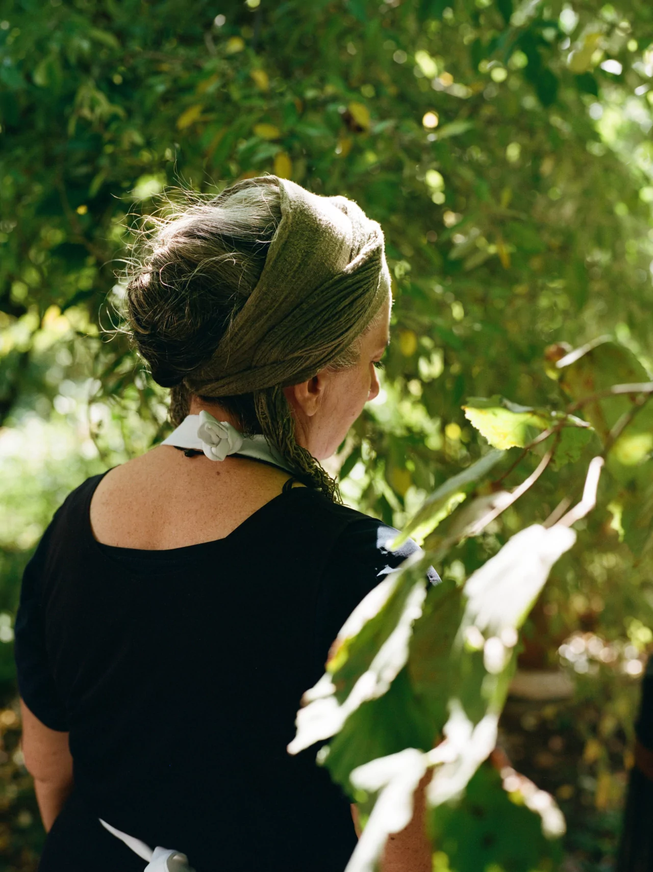 A person stands among flora and fauna, facing away from the camera.
