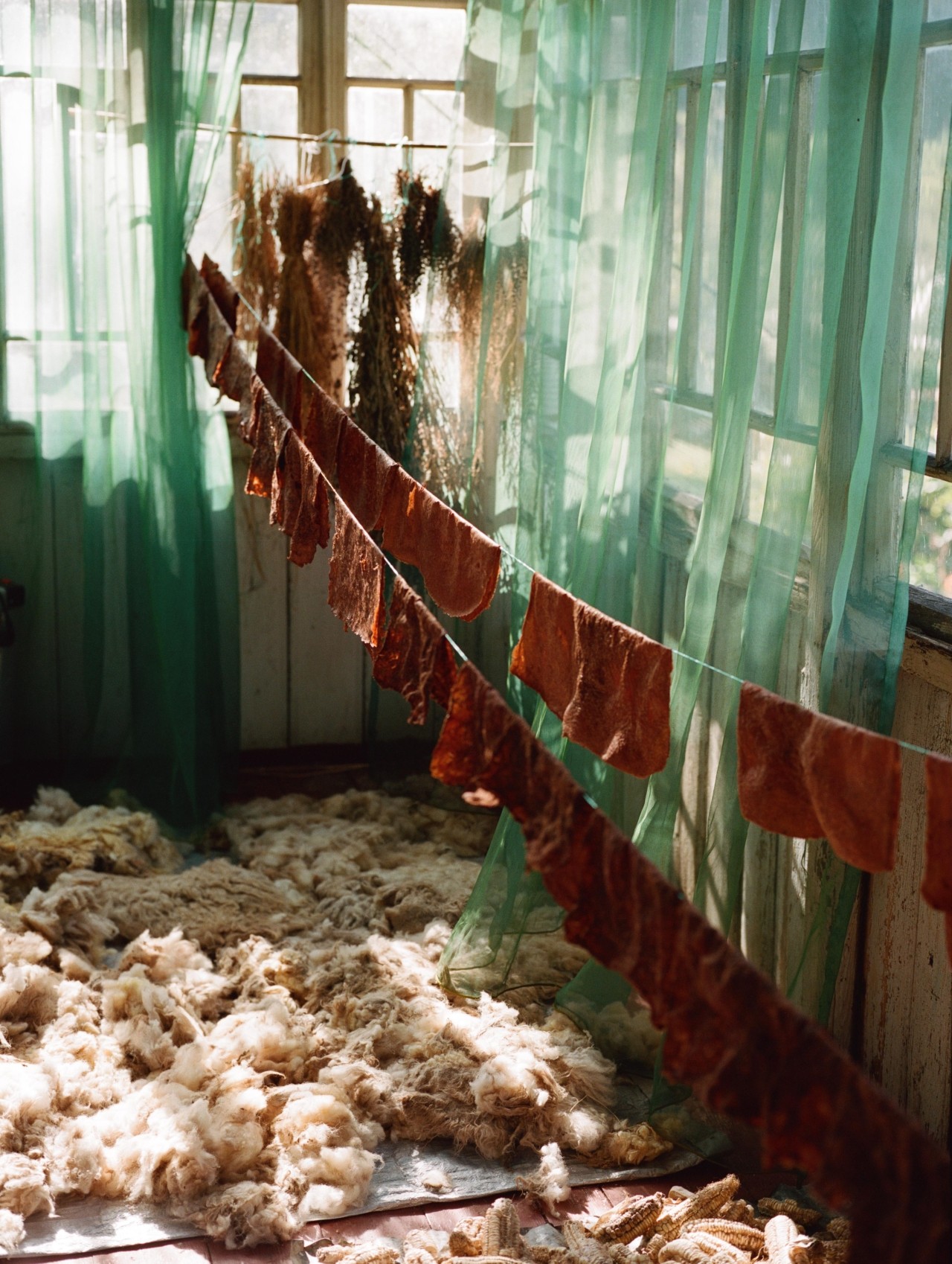 Wool lies on the floor of a room covered in sheer green curtains.