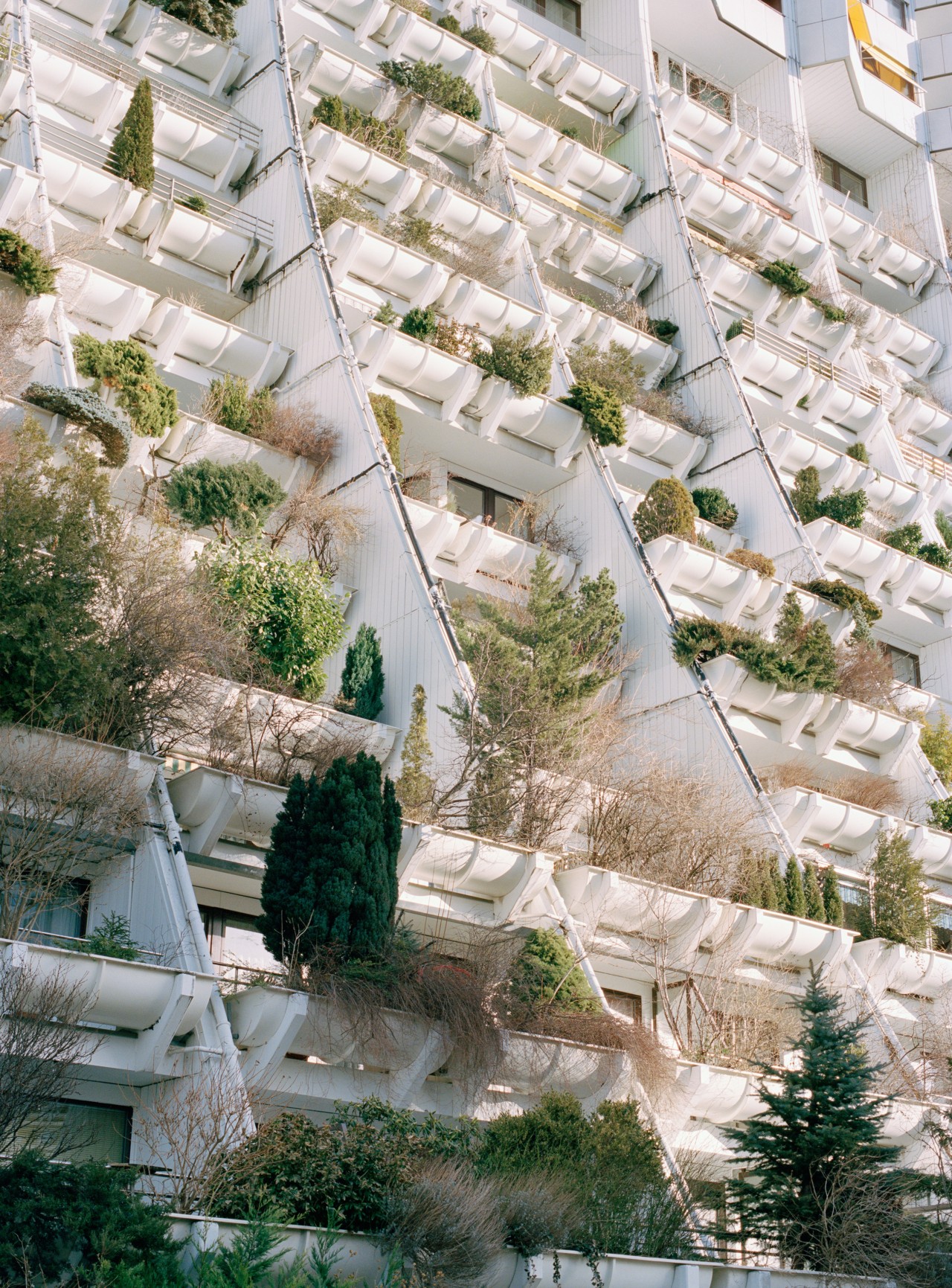 Flora and fauna grow in pods along the side of a white building.