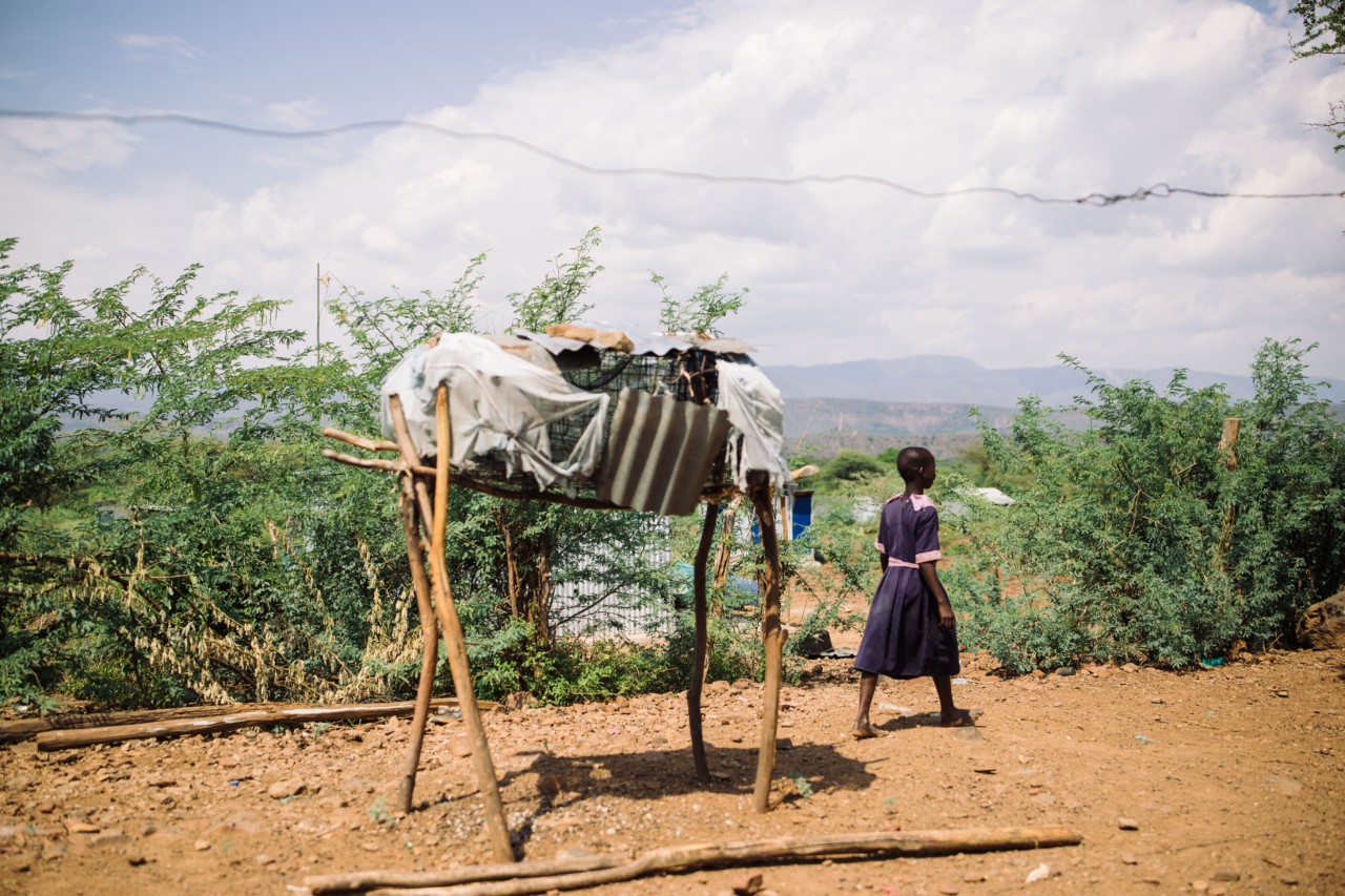 A girl in Kapkuikui overlooks the Great Rift Valley, where malaria infections have ticked upward in recent decades.