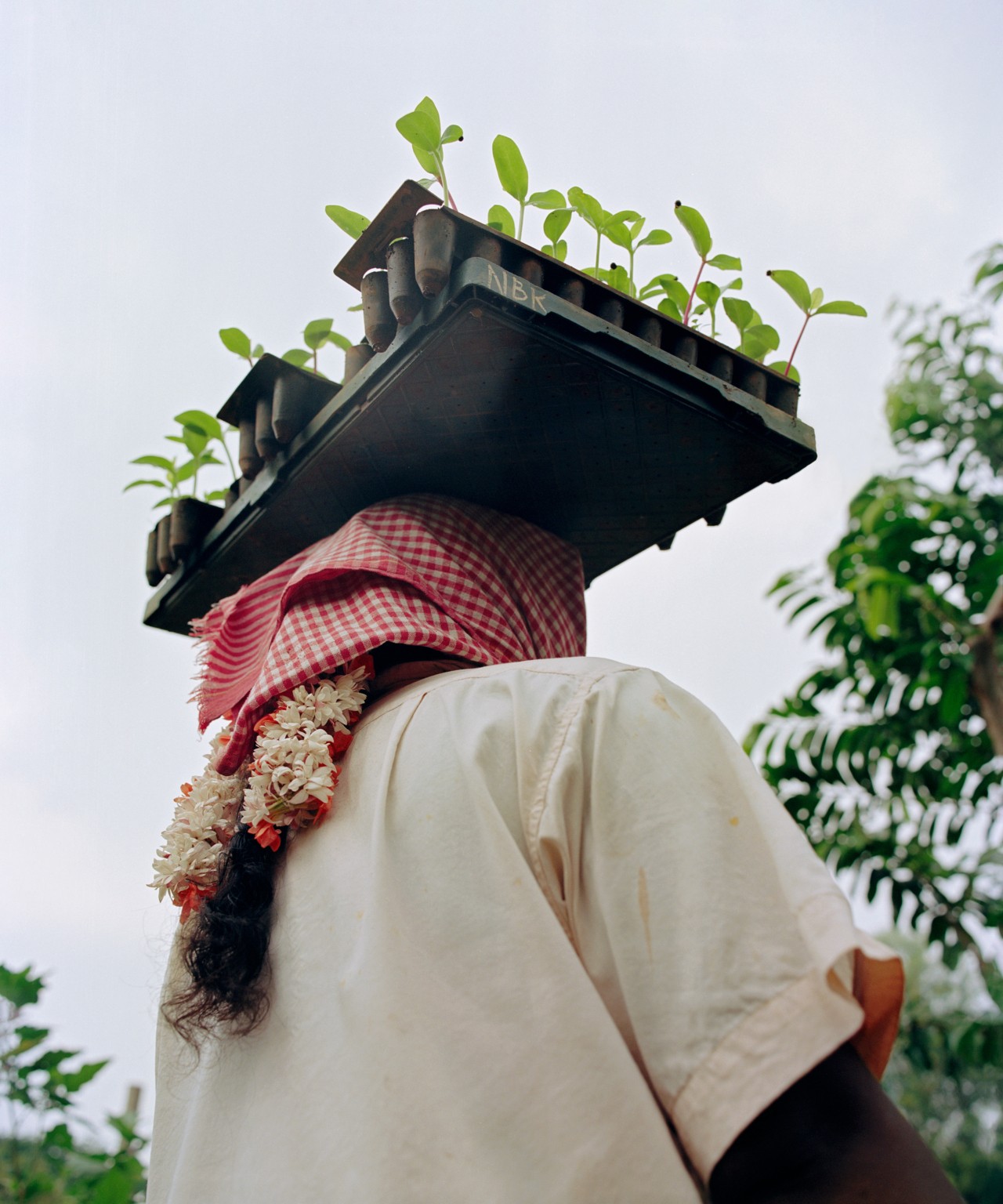 A person balances a planter on their head.