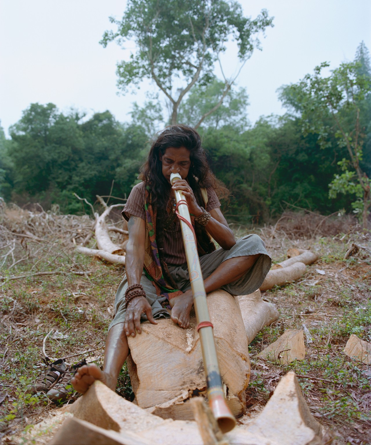 A person sits on fallen tree trunks in a clearing in the forest. They hold a pole up to their mouth.