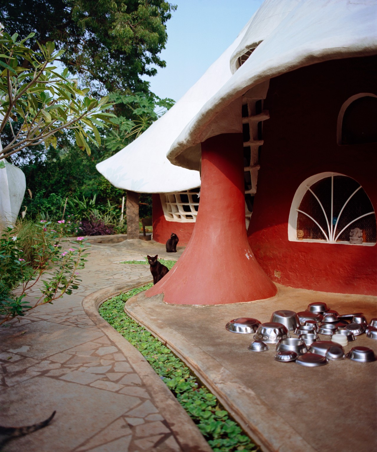Two black cats are still in front of a red and white home in Auroville.