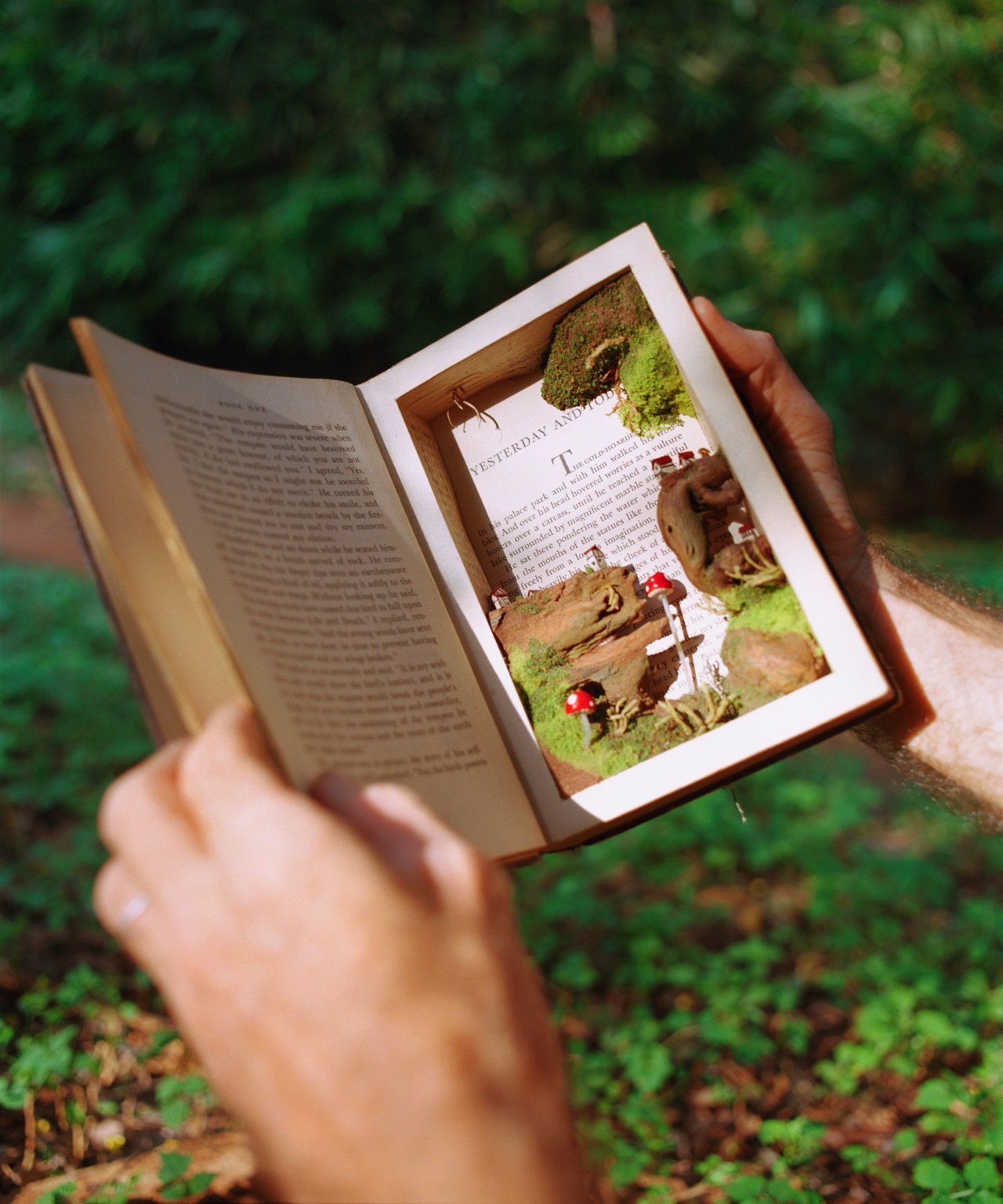 A person holds open a hollow book with moss growing inside.