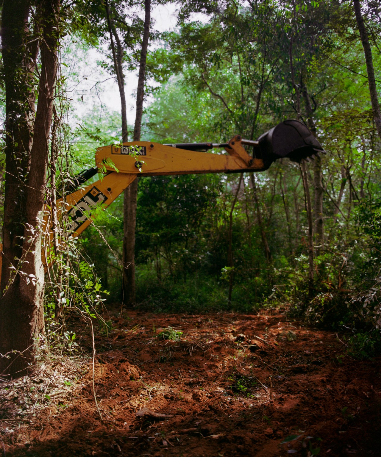 The crane of a bulldozer is raised in a forest.