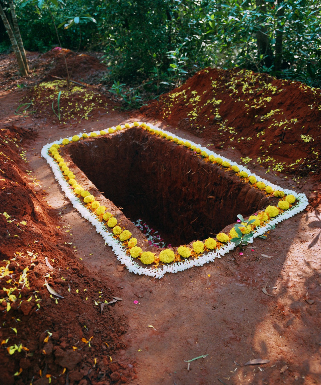 A rectangular hole is dug in the middle go a forest. It is surrounded by decorative yellow and white flowers.