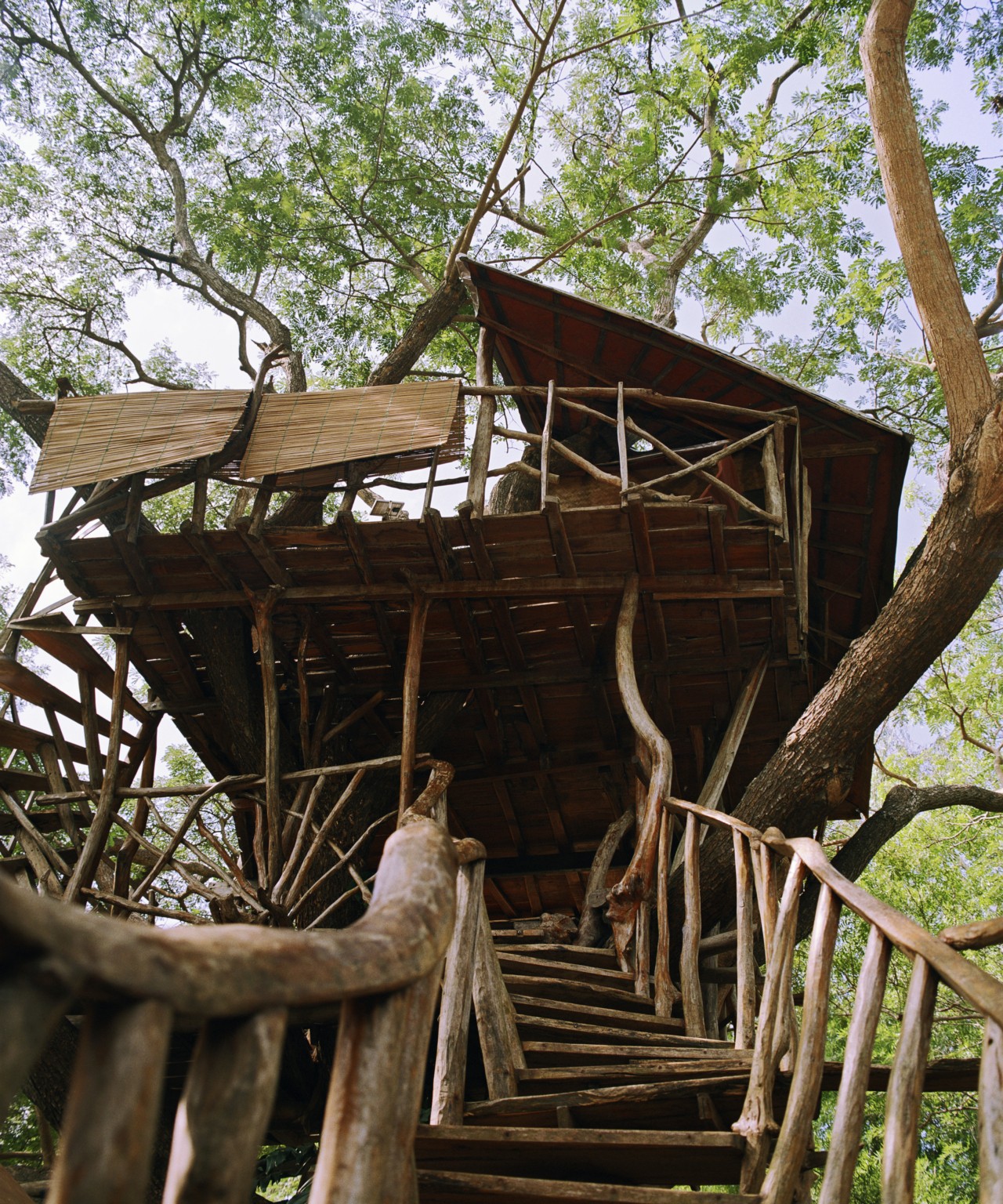A treehouse in the forest.