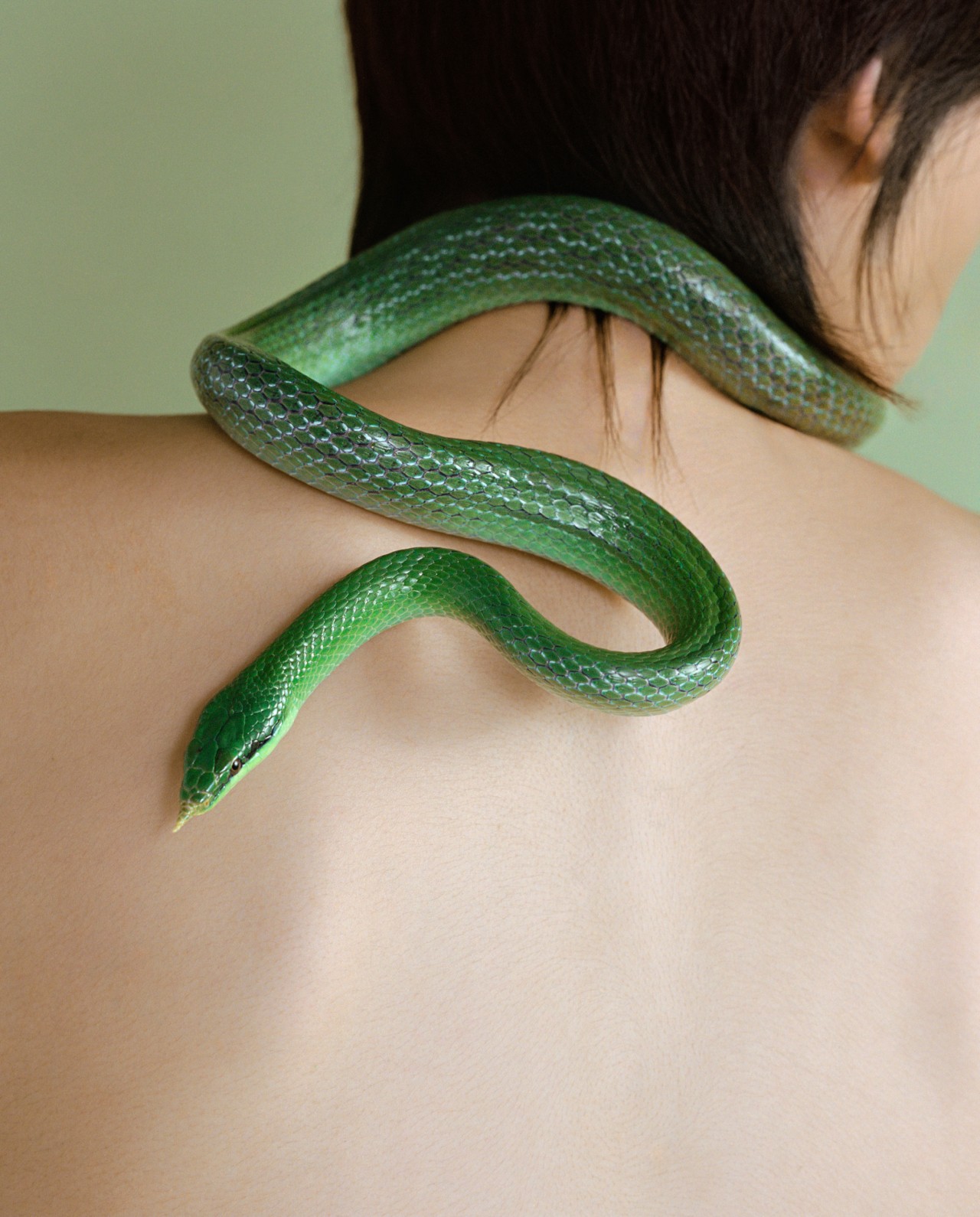 A green snake slithers along the neck and back of a human.