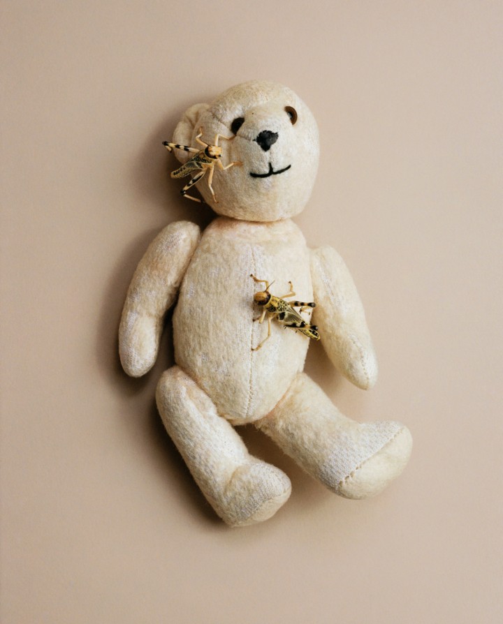 hero gallery image 6