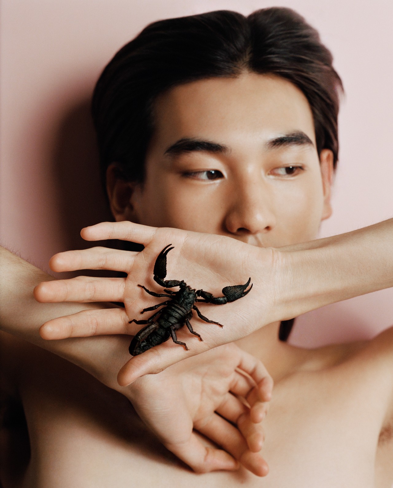 A model poses as a scorpion crawls along their hand.