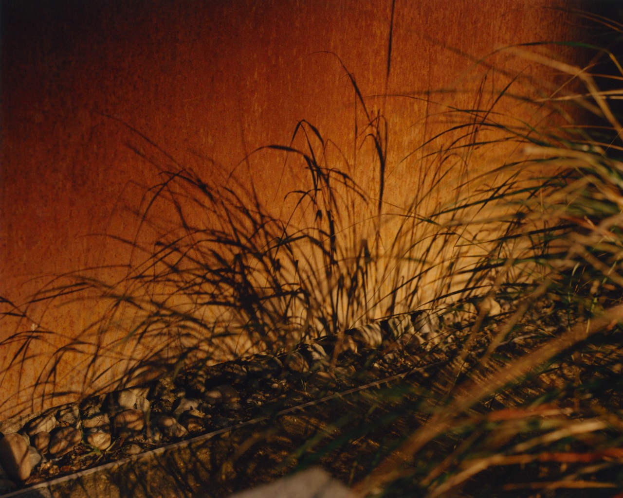 Sparse grass grows along a burnt orange wall.
