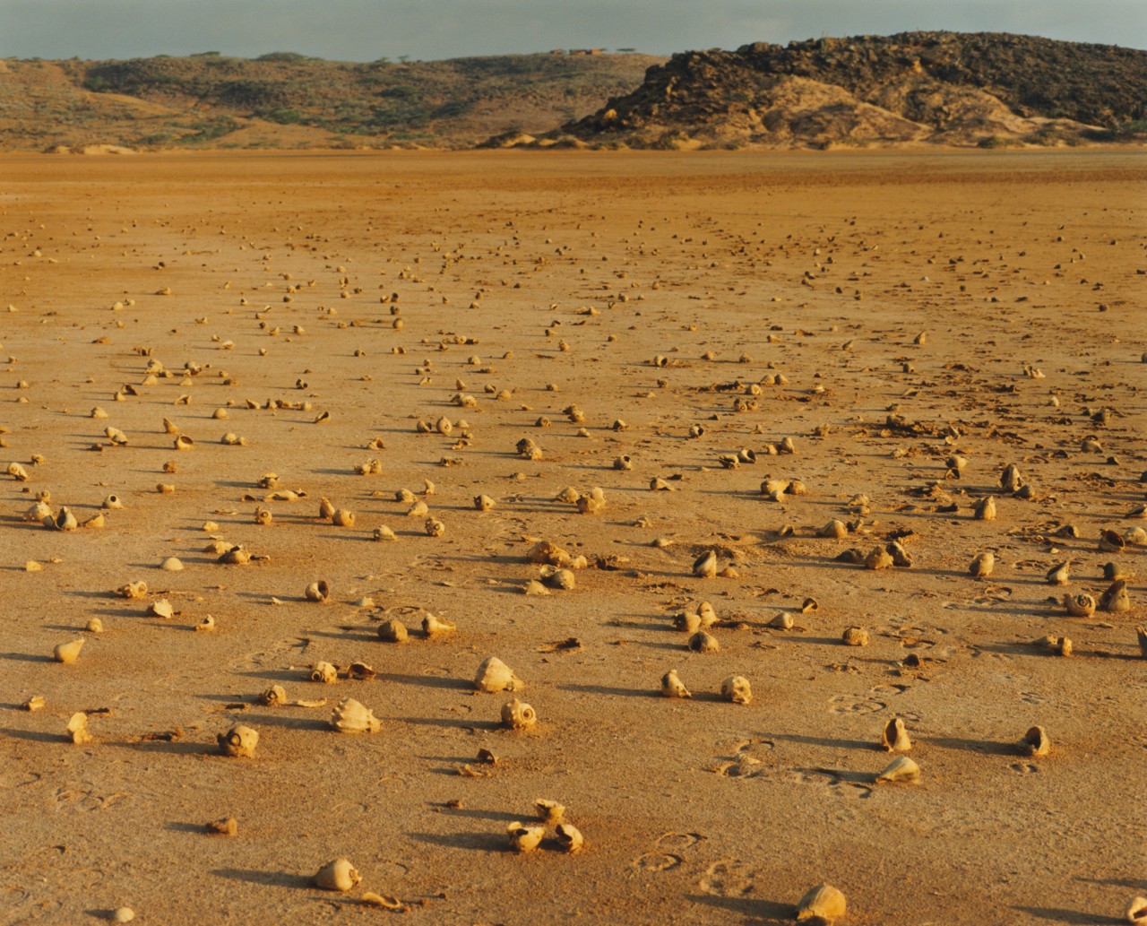 The dry desert sand of Colombia.
