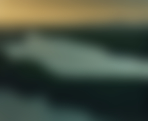 Channels of water surrounded by swaths of greenery.